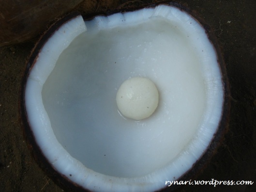Kentos coconut's embryo and endosperm
